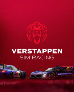 Verstappen